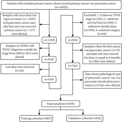 Development and validation of a competing risk model for second primary pancreatic ductal adenocarcinoma: A population-based study